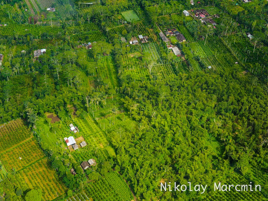 Bali