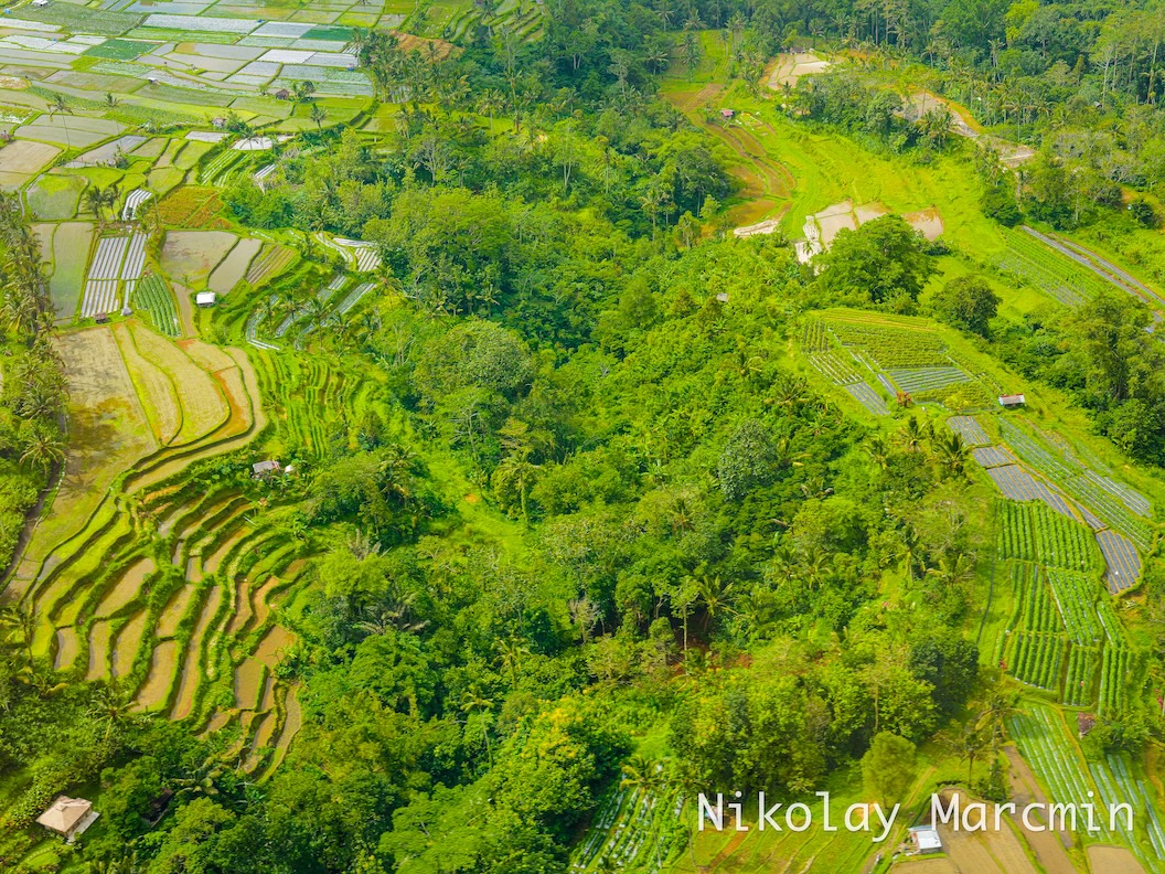 Bali