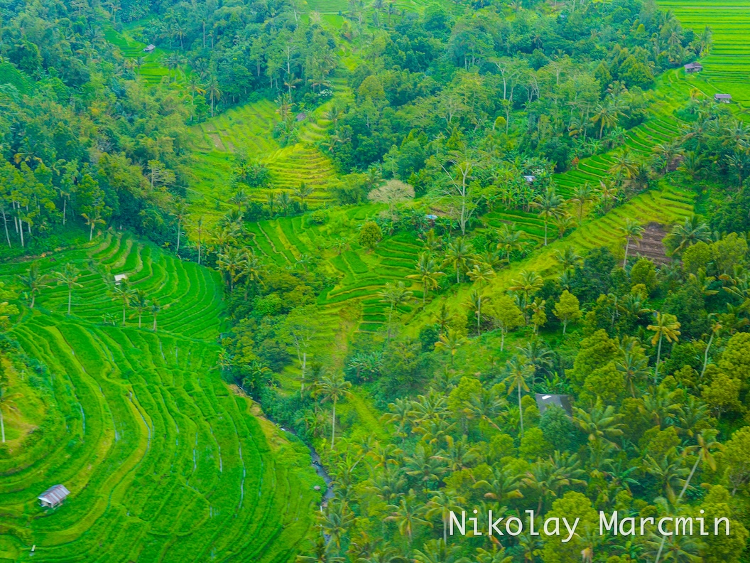 Bali