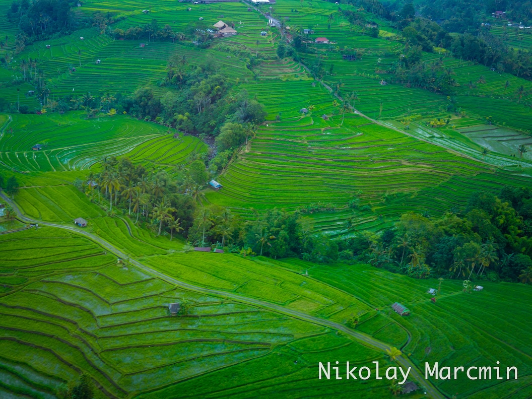 Bali