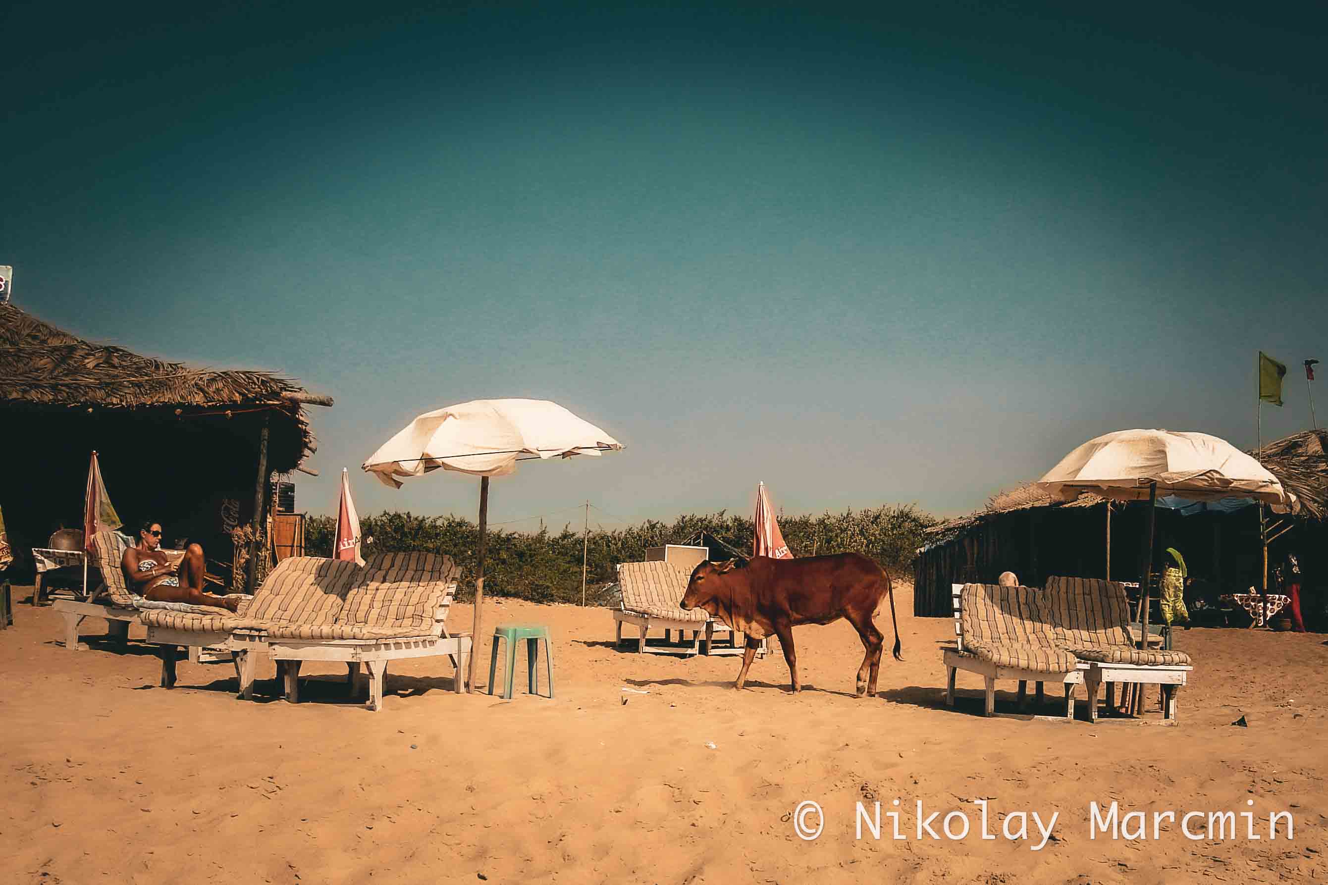 Goa