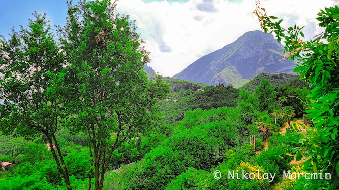 Nature